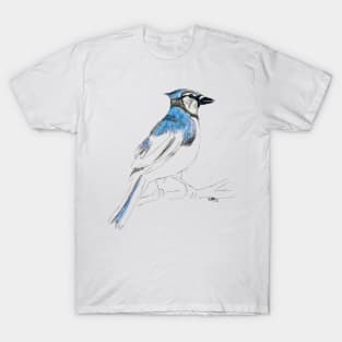 Blue Jay bird part painted sketch T-Shirt